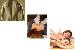 naples-chiropractor-acupuncture-naples-fl-massage-pine-ridge-chiropractic-acupuncture-clinic